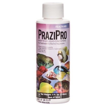 Hikari Aquarium Solutions PraziPro - 4 oz