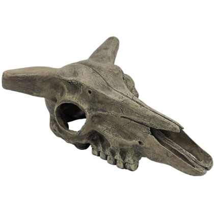 Komodo Deer Skull Terrarium Decoration - 1 count