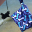 Blue - Blue Bone Yucky Puppy Dog Poop Bag Holders- Extra Large Size - 6.75x9.25
