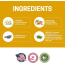 Orange - All-Natural Dog Shampoo (5 Treatment Options Available) - 16 oz