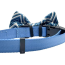 Zig Zag - Cutie Ties Dog Bow Tie - One Size