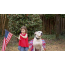 Red/White/Blue - Red/White/Blue 4th Of July Dog Tutu Skirt Medium) - Medium