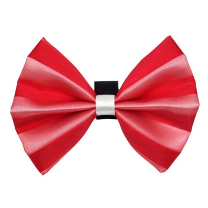 4 - PR3006|Pets Ribbons - 2\