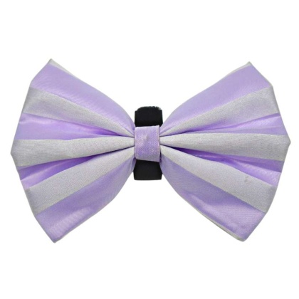 10 - PR3006|Pets Ribbons - 2\
