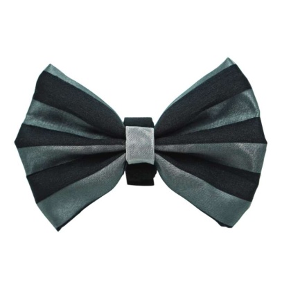 13 - PR3006|Pets Ribbons - 2\