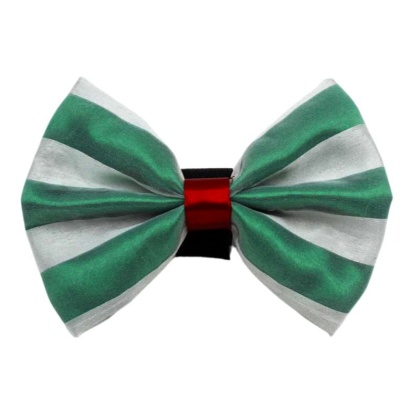 7 - PR3006|Pets Ribbons - 2\