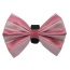 Pink/White - PR3006VA|Pets Ribbons - 3