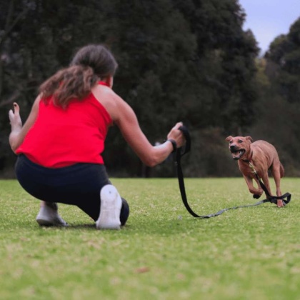 Canny Recall Leash - 15ft long 5/8\