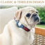Red Plaid & Denim - Apple Airtag Collar - Small