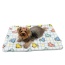 White - Ultra Plush Colorful Dinosaurs Blanket - 30