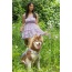 Lavender Garden Ultimate Dog Harness - Large