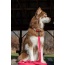 Red Mountain Syrah Waterproof Dog Collar - 21 - 28 inch