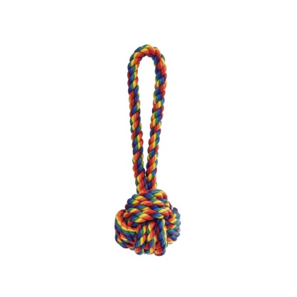 Rainbow - Jax & Bones Celtic Knot Rope Dog Toy   - Small 3\
