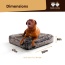 Frosted Willow - Rectangle Bed XL - Frosted Willow - XL - 56