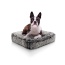 Midnight Frost - Rectangle Bed  SM - Midnight Frost - SM- 24