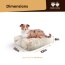 Blondie - Rectangle Bed MD - Blondie - MD - 32