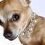 Rhinestone & Pearl Crown Necklace - 14