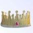 The Golden Glitz - Large