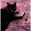 Catnip BowTies