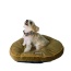 Mocha - Armarkat Pet Bed Pad, Poly Fill Dog Cushion Bed M04