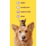 London Broil Flavor - Professional Pet Toothpaste  - Small