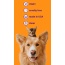 Say Cheese - Professional Pet Toothpaste  - Large