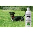 Mint - BarkLogic Clean & Clear Deep Cleansing Coat Shampoo