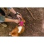 Raspberry Pink  - Millvue EZ Fit Dog Harness - Large