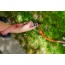 Natchez Pattern Flat Dog Leash - Small 5/8in. wide by 6ft. long