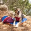 Eclipse Blue Compressible Waterproof Dog Sleeping Mat - Eclipse Blue Sleeping Mat