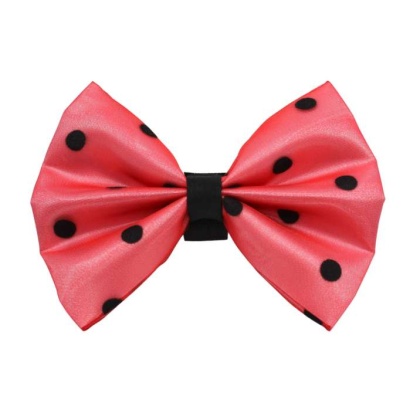 10 - PR1001|Pets Ribbons - 2\