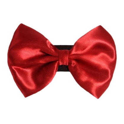 7 - PR3000|Pets Ribbons - 6\