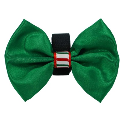 Green - PR3000XCS|Pets Ribbons - 2\