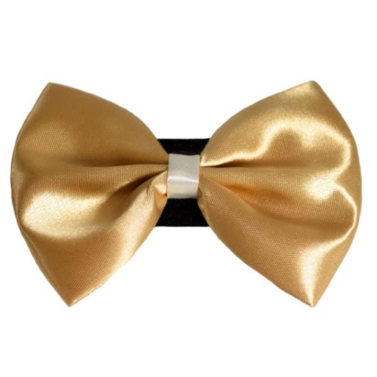 3 - PR3001|Pets Ribbons - 2\