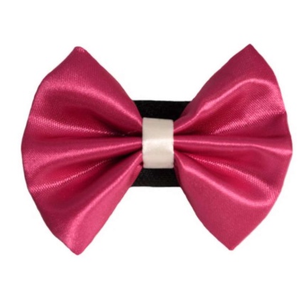 4 - PR3001|Pets Ribbons - 2\