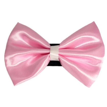 6 - PR3001|Pets Ribbons - 3\