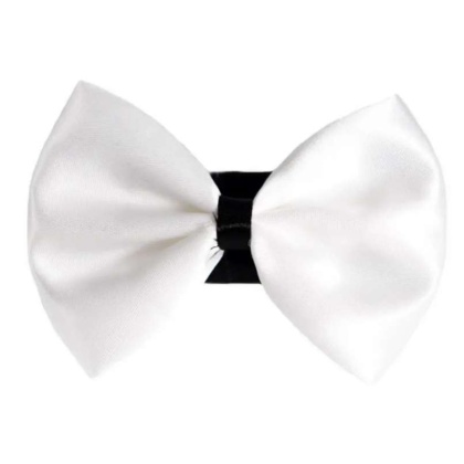 9 - PR3001|Pets Ribbons - 2\
