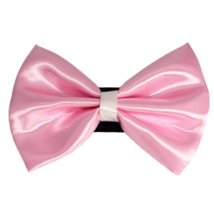 6 - PR3001|Pets Ribbons - 6\