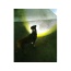 Black - Headlight Harness, Dog Harness with Built In LED Light - XSmall