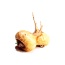 Dog And Cat Kryptonite Adrenal, Thyroid, Pituitary & Hypothalamic Support* - CAT// 90 caps /  250 mg /