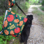 Green/Orange/Yellow - Yucky Puppy Autumn Dog Poop Bag Holders - 7x6.25