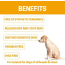 Orange - All-Natural Dog Shampoo (5 Treatment Options Available) - 16 oz