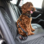 Black - GF Pet  Pet Seat Belt Tether  Black - Adjustable Length 20