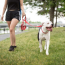 Red - GF Pet  Reflective Leash - Medium/Large