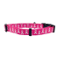 Breast Cancer Awareness Pink - Cutie Ties Fun Design Dog Collar - Small