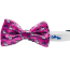 Rainbow - Cutie Ties Dog Bow Tie - One Size