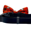Halloween Orange - Cutie Ties Dog Bow Tie - One Size