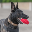 Red - USA-K9 Grenade Durable Rubber Chew Toy & Treat Dispenser - XL