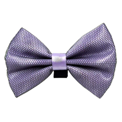 4 - PR3005|Pets Ribbons - 2\