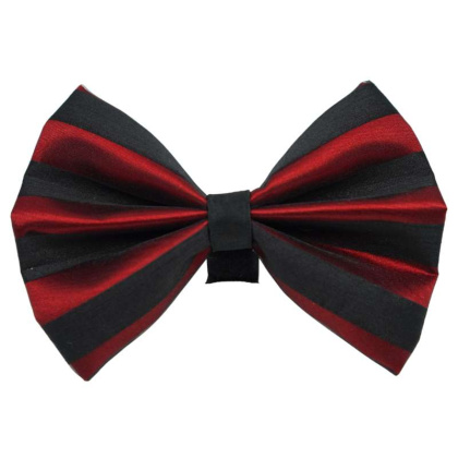 2 - PR3006|Pets Ribbons - 6\